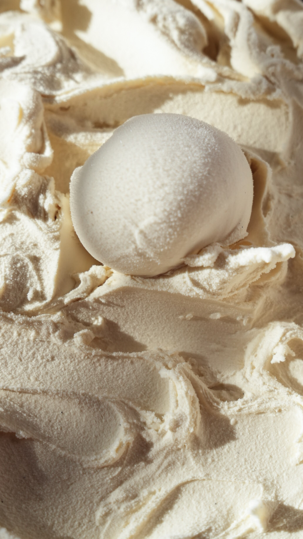 Vanilla thumbnail 12