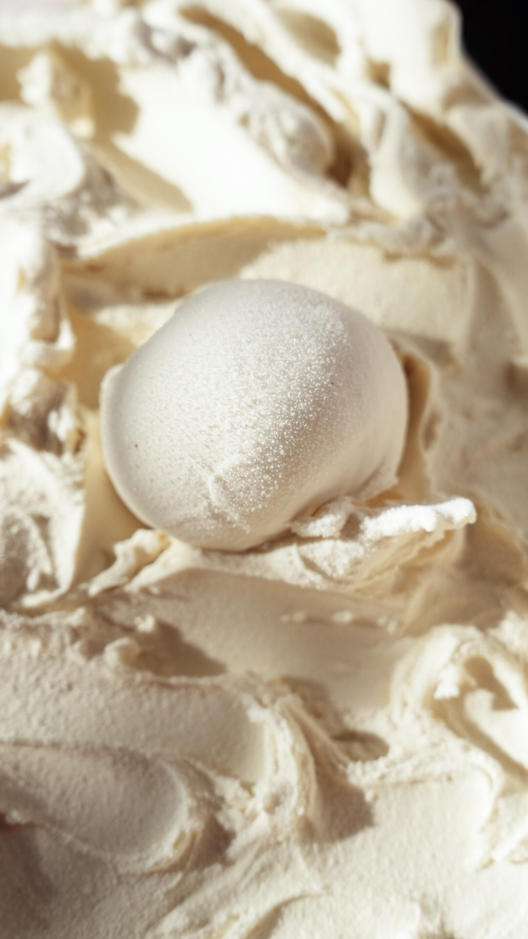 Vanilla thumbnail 13